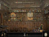 Art of Murder: Secret Files game screenshot