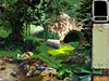 Bigfoot: Chasing Shadows game screenshot