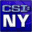 CSI: NY game