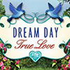 Dream Day True Love game