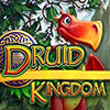 Druid Kingdom game