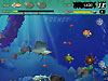 Feeding Frenzy game screenshot