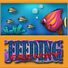 Feeding Frenzy game