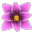 Flower Paradise game