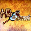 Hide & Secret game