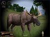 Hunting Unlimited 2010 game screenshot