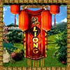 Liong: The Lost Amulets game