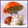 Mushroom Age game