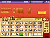 Slingo Casino Pak game screenshot