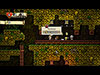 Spelunky game screenshot