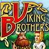 Viking Brothers game