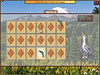 World Riddles: Animals game screenshot